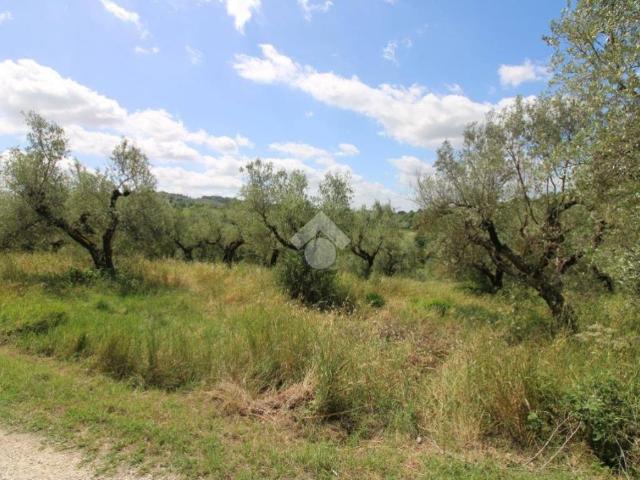 Terreno in vendita a Montopoli Di Sabina, Lazio
