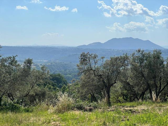 Terreno in vendita a Montopoli Di Sabina, Lazio