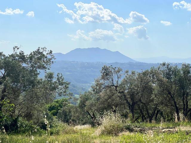 Terreno in vendita a Montopoli Di Sabina, Lazio