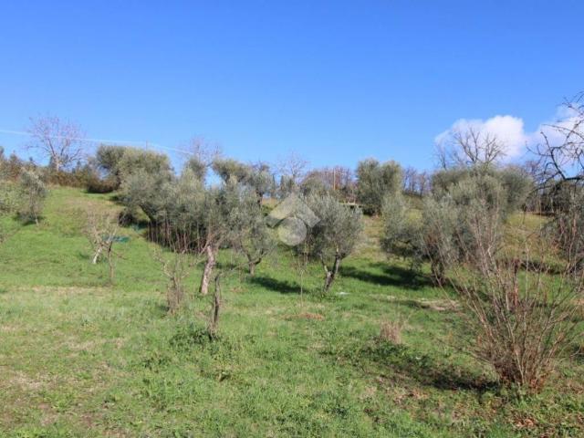 Terreno in vendita a Montopoli Di Sabina, Lazio