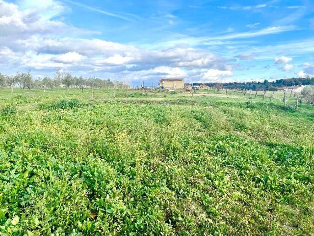 Terreno in vendita a San Romano, Montopoli In Val D'arno
