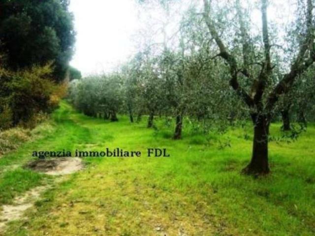 Terreno in vendita a Montopoli In Val D'arno, Toscana