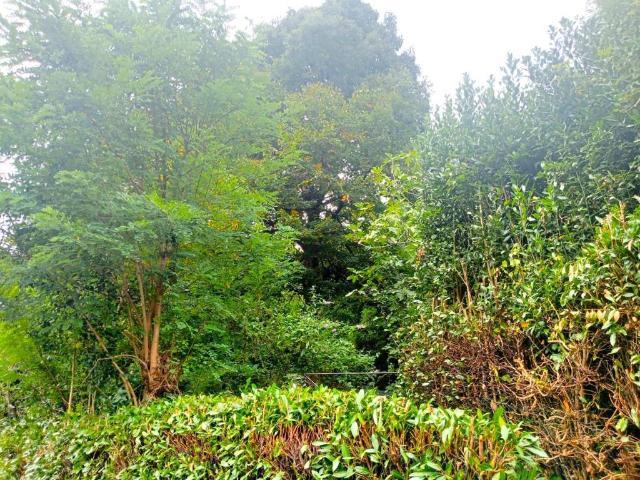 Terreno in vendita a Montorfano, Como