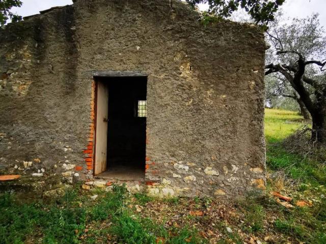 Terreno in vendita a Roma Capitale, Lazio