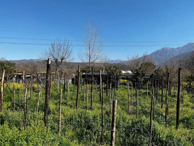 Terreno in vendita a Montoro, Campania