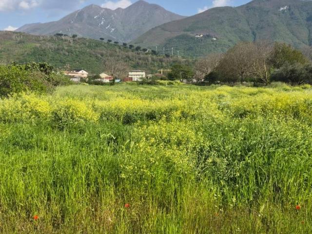 Terreno in vendita a San Felice, Montoro