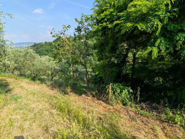 Terreno in vendita a Montorso Vicentino, Veneto