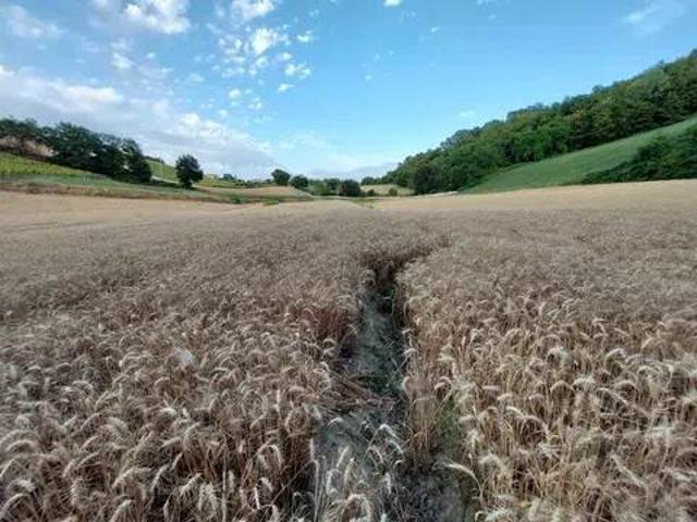 Terreno in vendita a Marche, Fermo