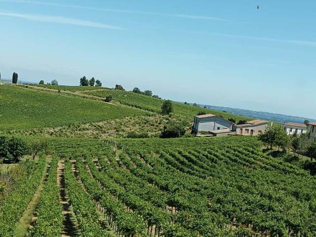 Terreno in vendita a Montù Beccaria, Lombardia