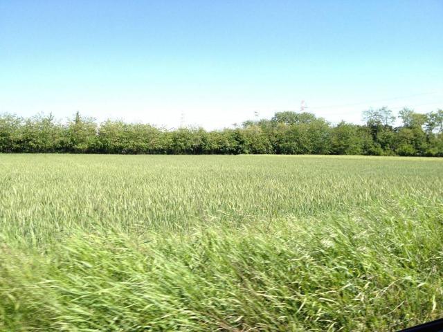 Terreno in vendita a Monza