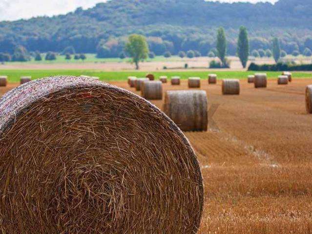 Terreno in vendita a Morazzone, Lombardia