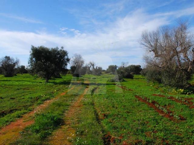 Terreno in vendita a Puglia, Lecce