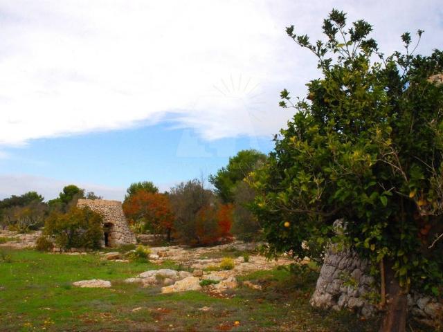 Terreno in vendita a Puglia, Lecce