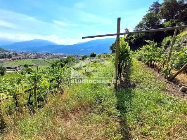 Terreno in vendita a Comunità della Vallagarina, Mori