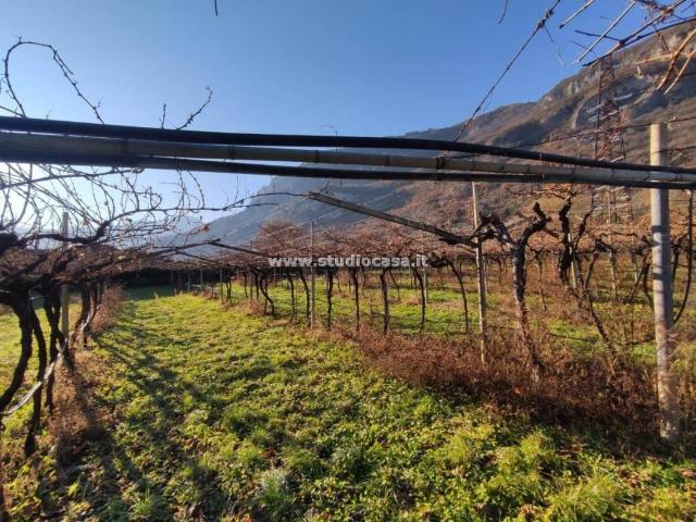 Terreno in vendita a Comunità della Vallagarina, Isera