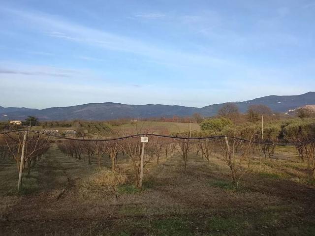 Terreno in vendita a Roma Capitale, Lazio