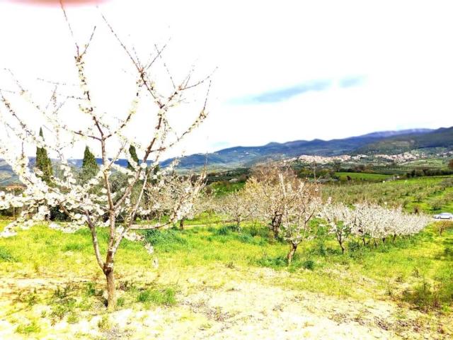 Terreno in vendita a Roma Capitale, Lazio