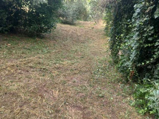 Terreno in vendita a Roma Capitale, Lazio