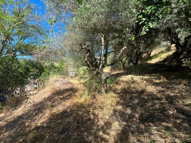 Terreno in vendita a Roma Capitale, Lazio