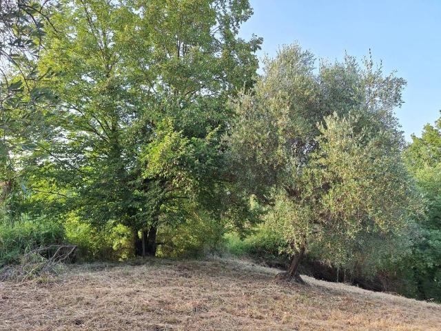 Terreno in vendita a Acqua Acetosa-Manciano-Montelungo, Morlupo