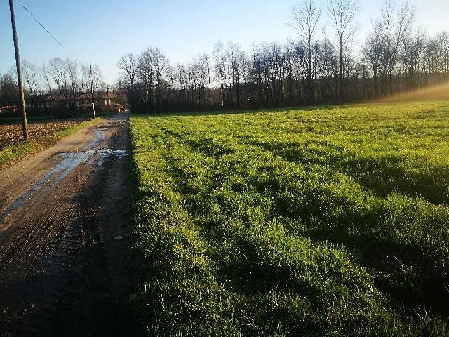 Terreno in vendita a Mornago, Lombardia
