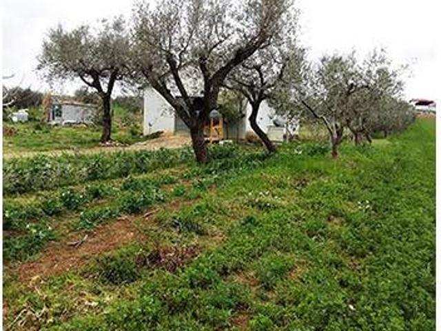 Terreno in vendita a Morro D'oro, Abruzzo