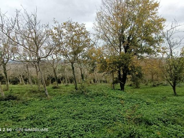 Terreno in vendita a Marche, Macerata