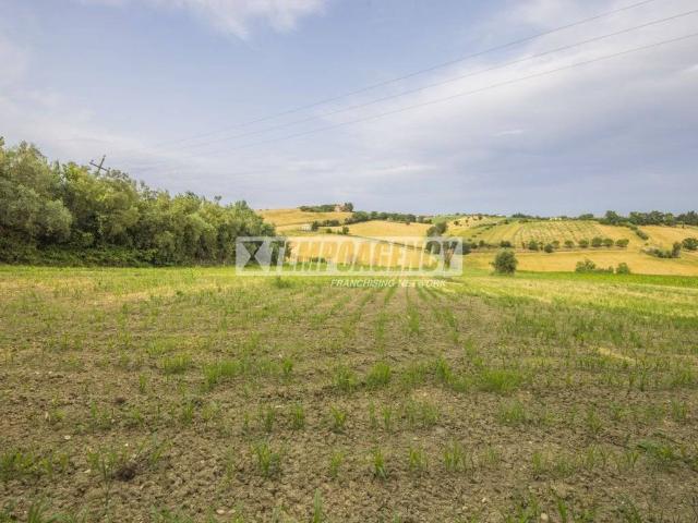 Terreno in vendita a Borgo Pintura, Marche