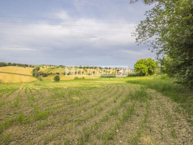 Terreno in vendita a Borgo Pintura, Marche