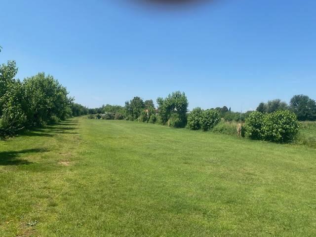 Terreno in vendita a Mortegliano, Friuli-Venezia Giulia