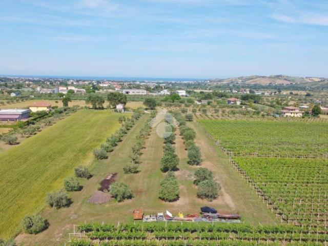 Terreno in vendita a Mosciano Sant'angelo, Abruzzo