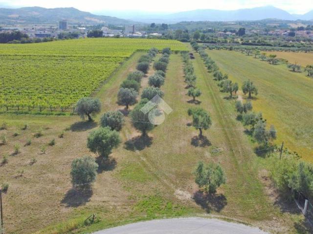 Terreno in vendita a Mosciano Sant'angelo, Abruzzo