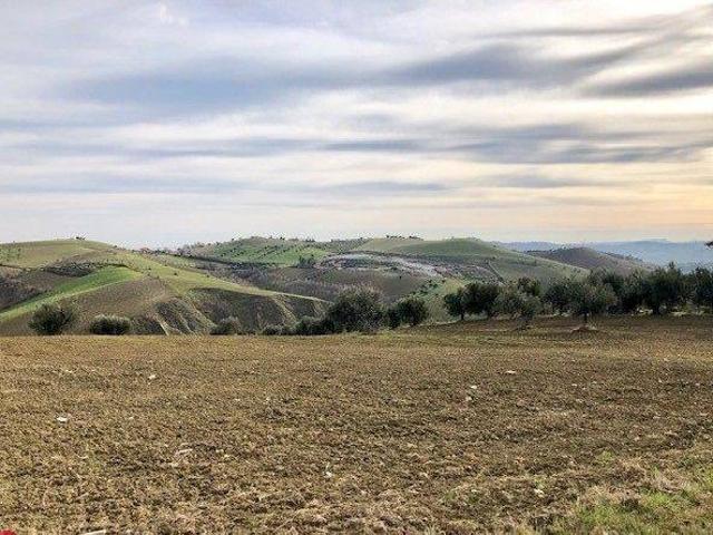 Terreno in vendita a Mosciano Sant'angelo, Abruzzo