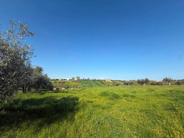 Terreno in vendita a Mosciano Sant'angelo, Abruzzo