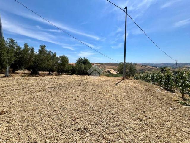 Terreno in vendita a Mosciano Sant'angelo, Abruzzo