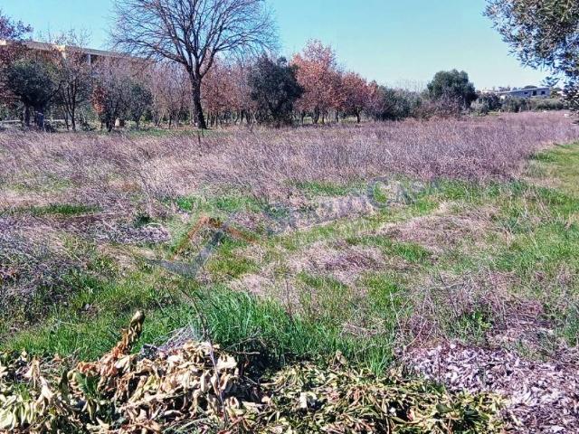 Terreno in vendita a Mosciano Sant'angelo, Abruzzo