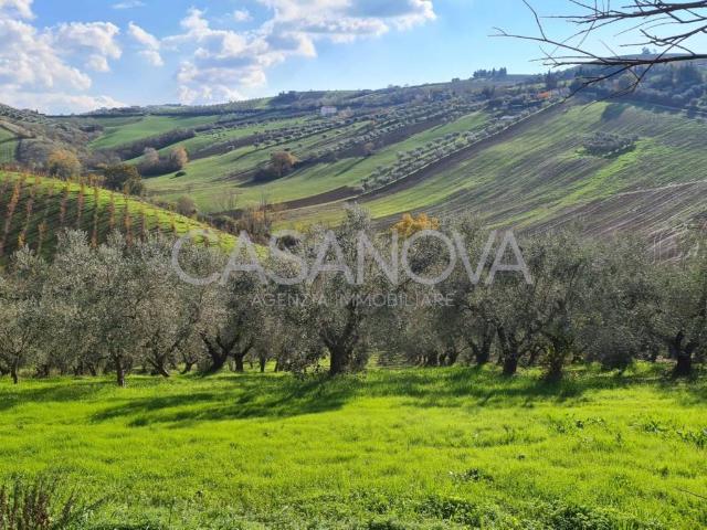 Terreno in vendita a Mosciano Sant'angelo, Abruzzo