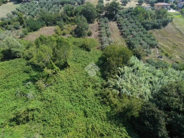 Terreno in vendita a Mosciano Sant'angelo, Abruzzo
