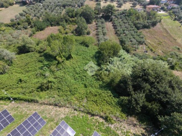 Terreno in vendita a Mosciano Sant'angelo, Abruzzo