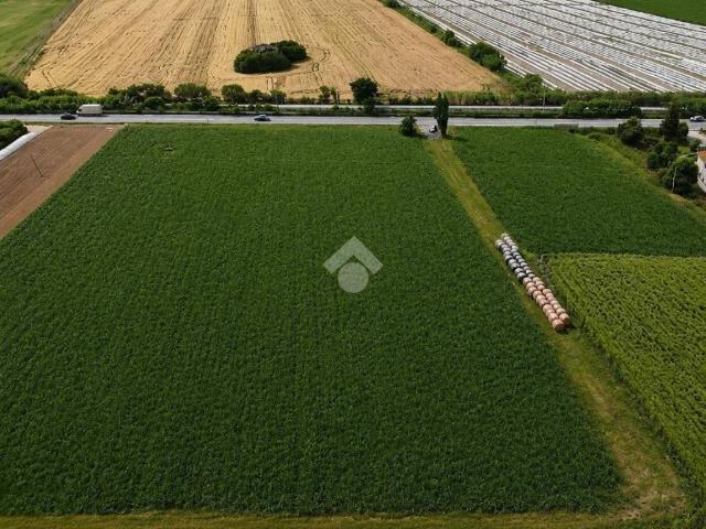Terreno in vendita a Mosciano Sant'angelo, Abruzzo