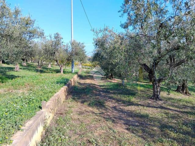 Terreno in vendita a Moscufo, Abruzzo