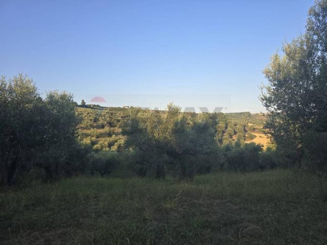 Terreno in vendita a Senarica, Moscufo