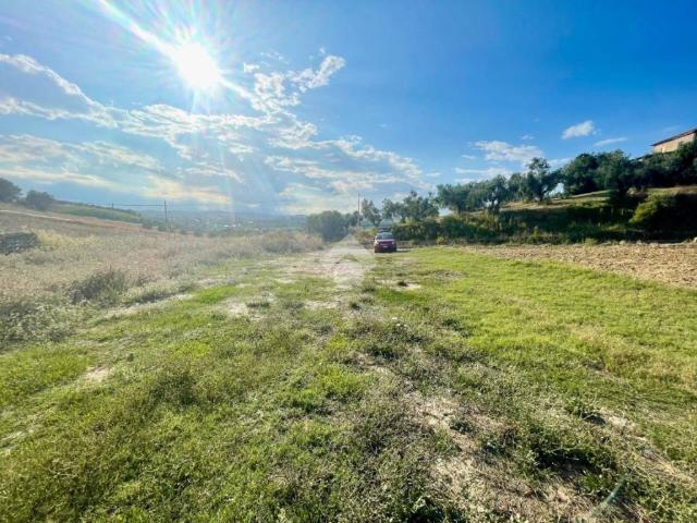 Terreno in vendita a Moscufo, Abruzzo