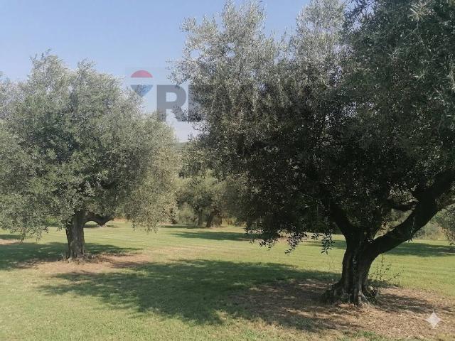 Terreno in vendita a Moscufo, Abruzzo