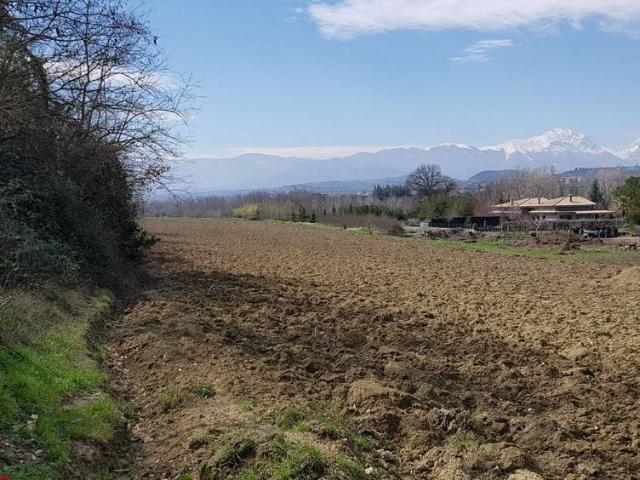 Terreno in vendita a Moscufo, Abruzzo