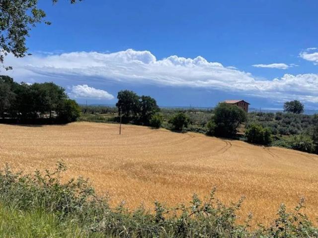 Terreno in vendita a Moscufo, Abruzzo