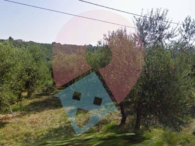 Terreno in vendita a Moscufo, Abruzzo