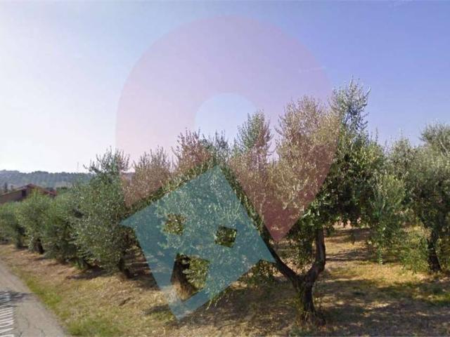 Terreno in vendita a Moscufo, Abruzzo