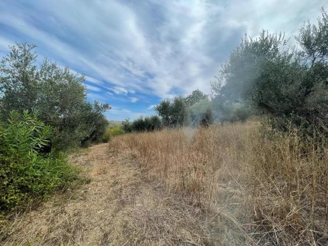 Terreno in vendita a Moscufo, Abruzzo