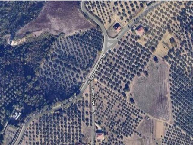 Terreno in vendita a Moscufo, Abruzzo